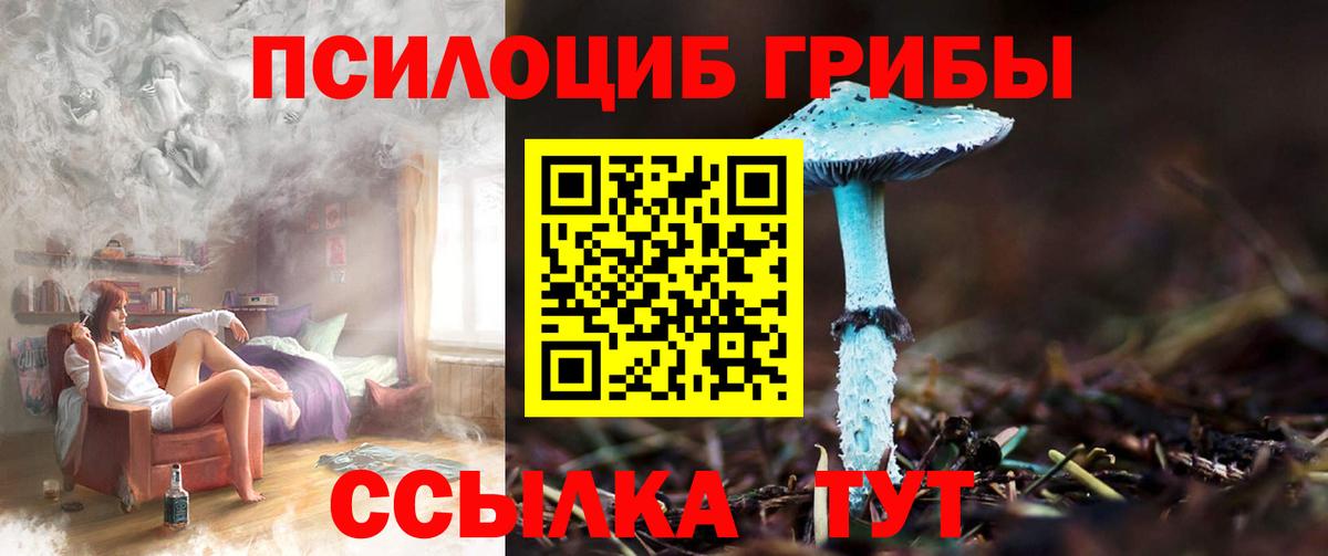 Галлюциногенные грибы Psilocybe  Вход с VPN  Псилоцибиновые грибы мухоморы  Клин 